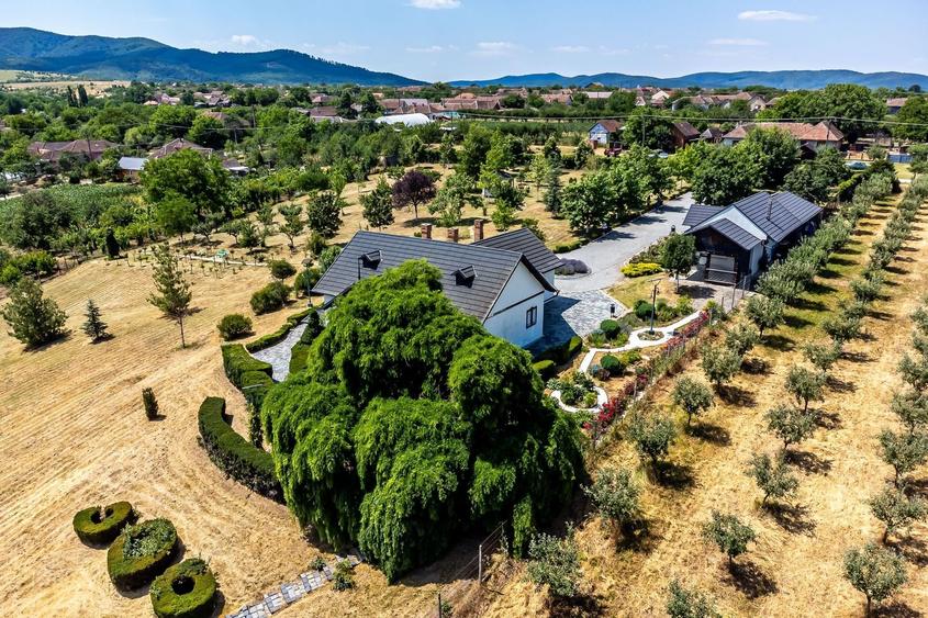 REZERVAT Visezi la o proprietate unică, plină de istorie și farmec? - 1