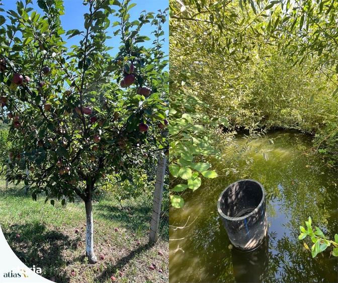 Teren intravilan - 1.248 mp + casa batraneasca 60 - 6