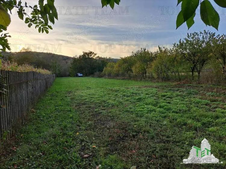 Teren de vanzare Maneciu Pamanteni - 3
