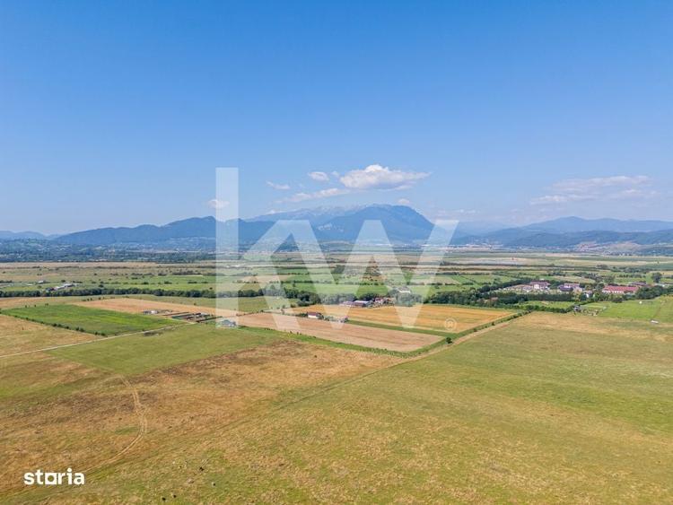 Teren de vanzare, 2.000 mp in Glajerie, Rasnov, parcelat - COMISION 0% - 8