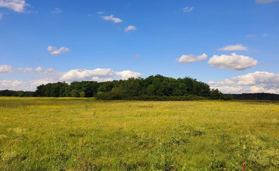 Teren de vanzare, zona Ghiroda - 6