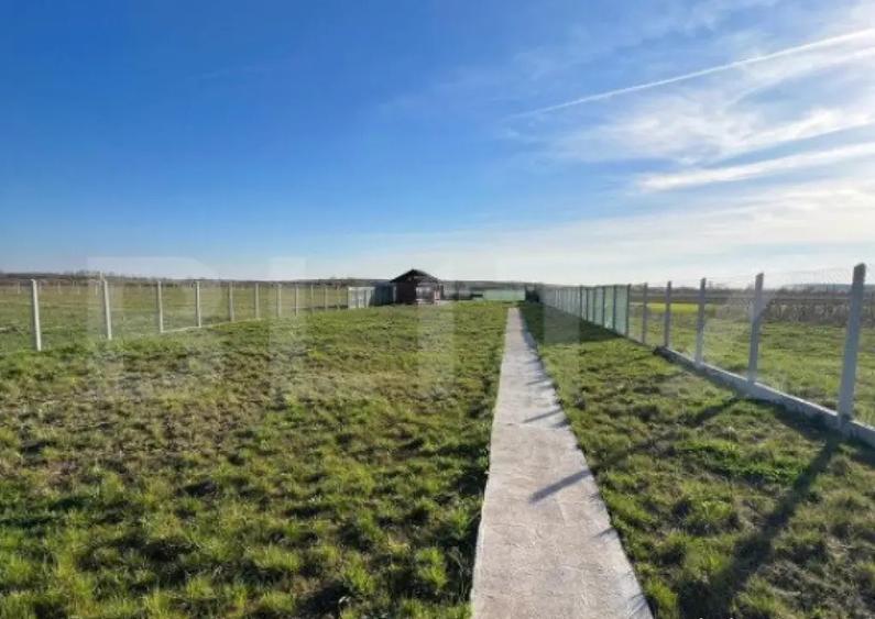 Teren cu Poten?ial ?i Facilita?i , 1000.00 mp in Cionch - 4