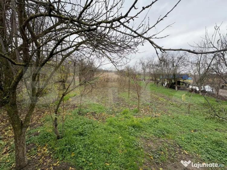 Casa deosebita cu teren generos Bercu - 8