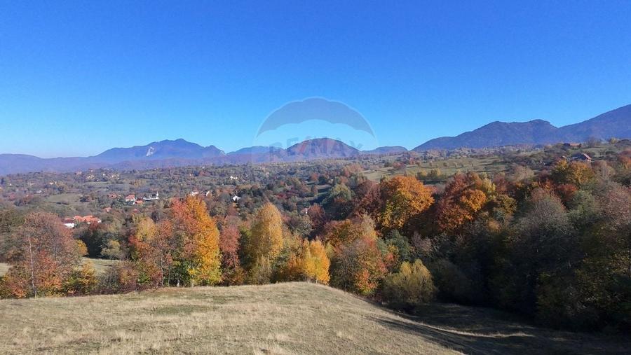 Teren 3,500mp Bran / Strada Bradul Inalt - 1