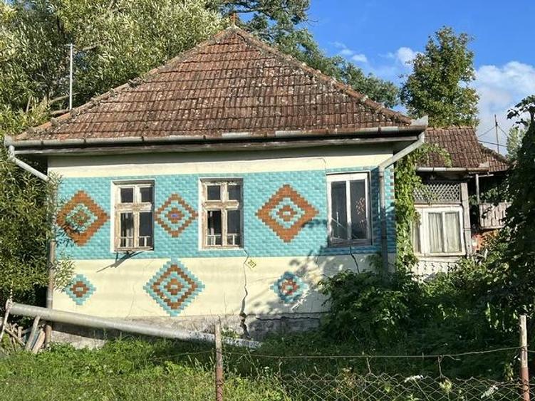 Casa si anexe, teren 5000 mp Mineu, Salaj - 4