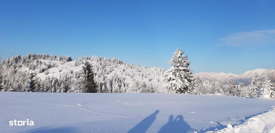 Vand teren 47.8 HA intravilan + extravilan Moisei/Viseu - 3