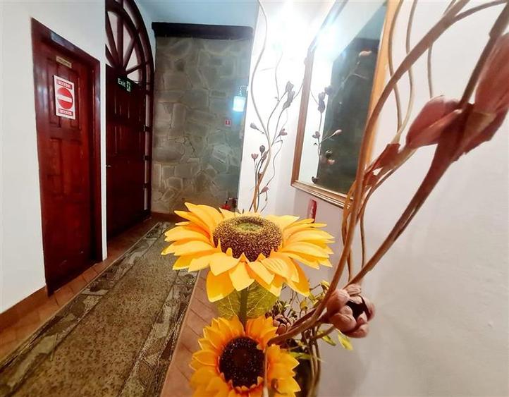 Preluare afacere pensiune administrare in regim turistic, Centrul Istoric - 10