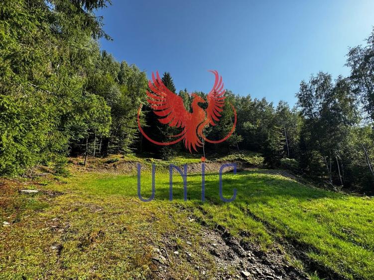 18000 mp de natura pura ,Lupeni, langa Straja - 30