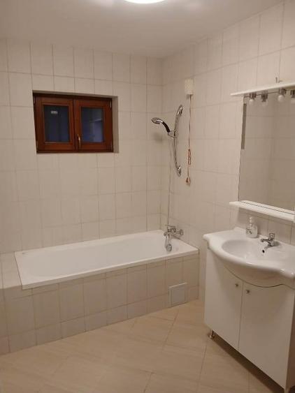 Inchiriere Vila individuala Berceni-Giurgiului - 44