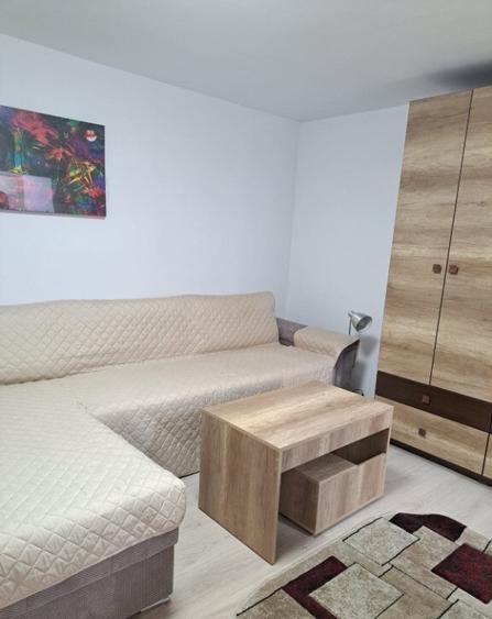 Proprietar ofer Super garsoniera drumul sarii - 5