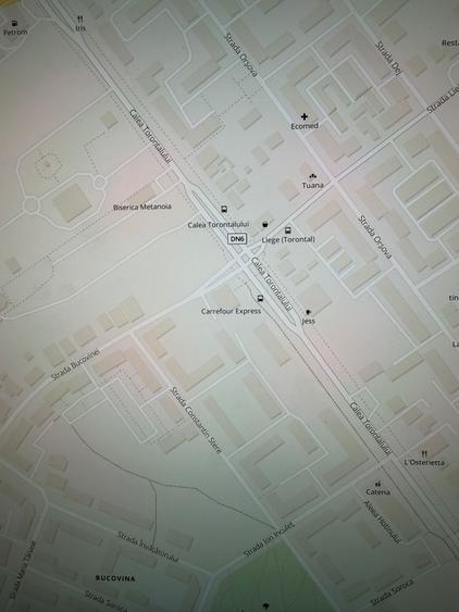 Teren de inchiriat calea Torontalului / VOX 10000 mp - 1