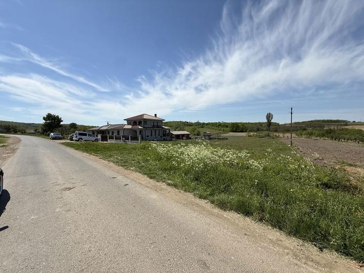 Ofer spre vanzare teren intravilan Viile Satu Mare - 3