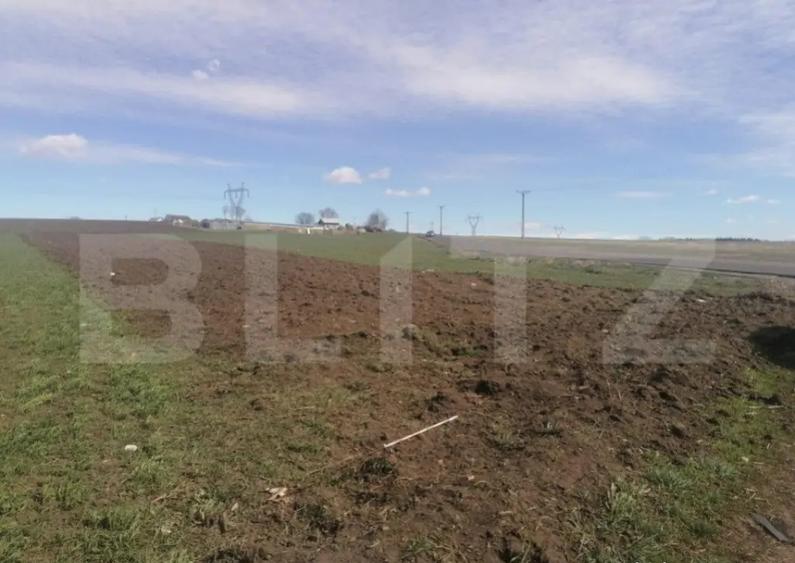 Oportunitate! Teren intravilan, 7000mp, zona Bosanci - 1