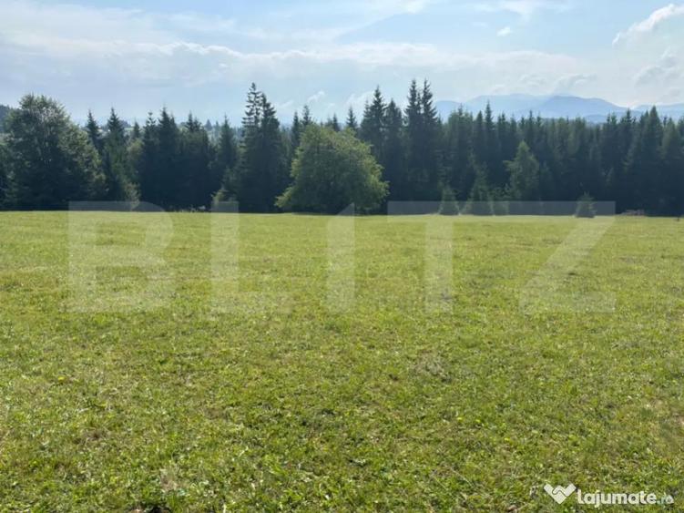 Vanzare teren intravilan de 2 hectare, in Pasul Tihu?a - 1