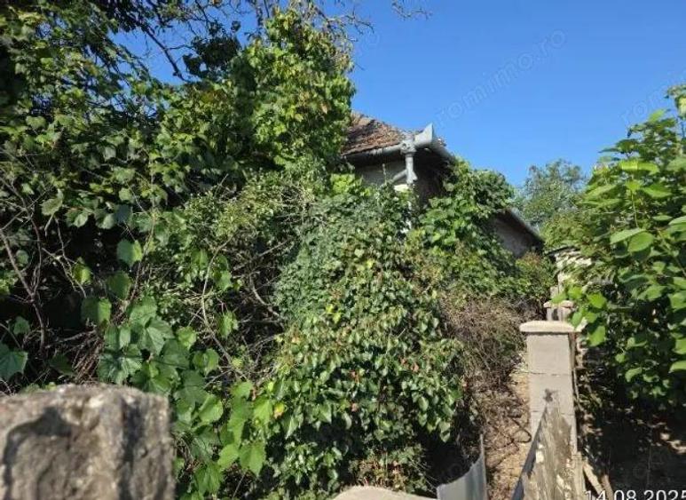 Cota de 3/64 Casa si teren com. Cizer, str. Principala, jud. Salaj - 4