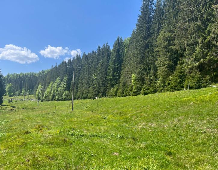 Teren intravilan Arieseni - 1250 mp - langa drum asfaltat - 5