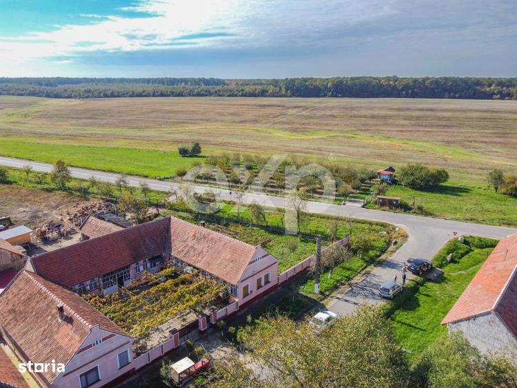 Teren cu livada de vanzare Sarbova, pozitie excelenta! - 6