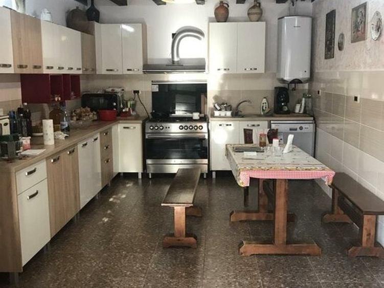 Oportunitate de investitie, o cladire D+P+M rustica in comuna Pischia - 9