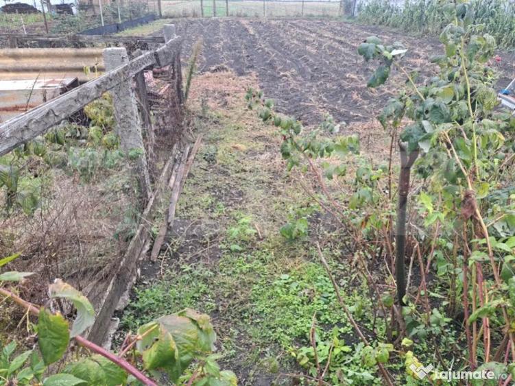 Vand casa cu teren generos Halchiu, aproape de Bra?o - 12