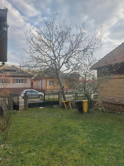 De vanzare gospodarie - 4