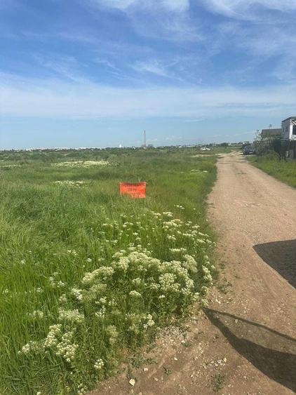 teren de vanzare Magurele - 4