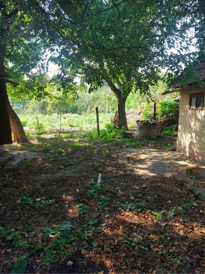 casa de vanzare in Arad - 5