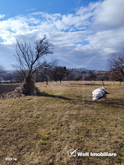 Ocazie/ Teren de vanzare in FELEAC - 1