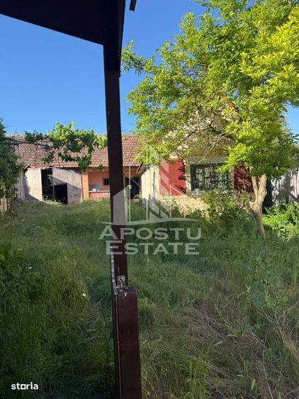 Casa de caramida in Sustra ,Topolovatul Mare cu teren de 1522 mp. - 12