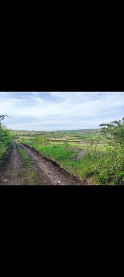 Teren extravilan Dealul Fanatelor - 1