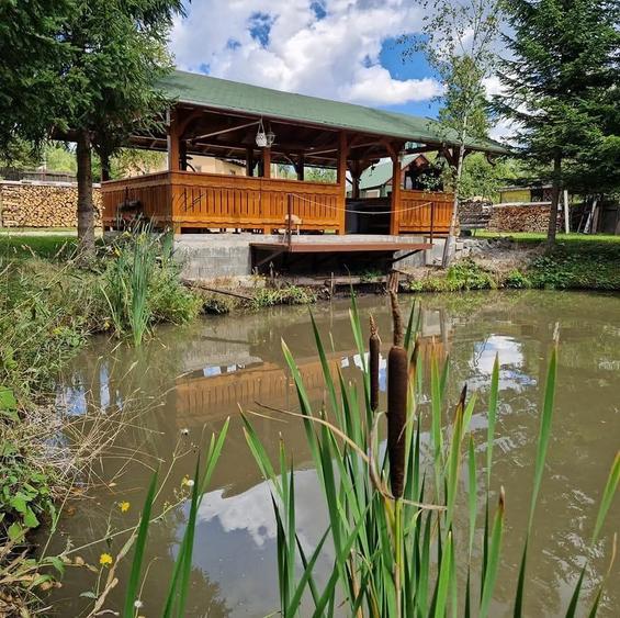 Vila de inchiriat pentru sarbatorile de Paste - 7