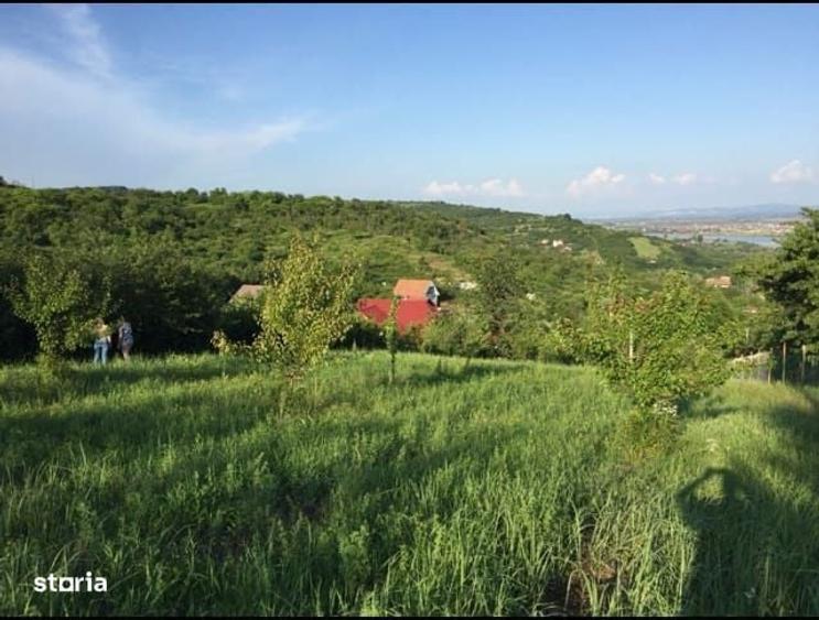 Teren Intravilan Podgoria - 2