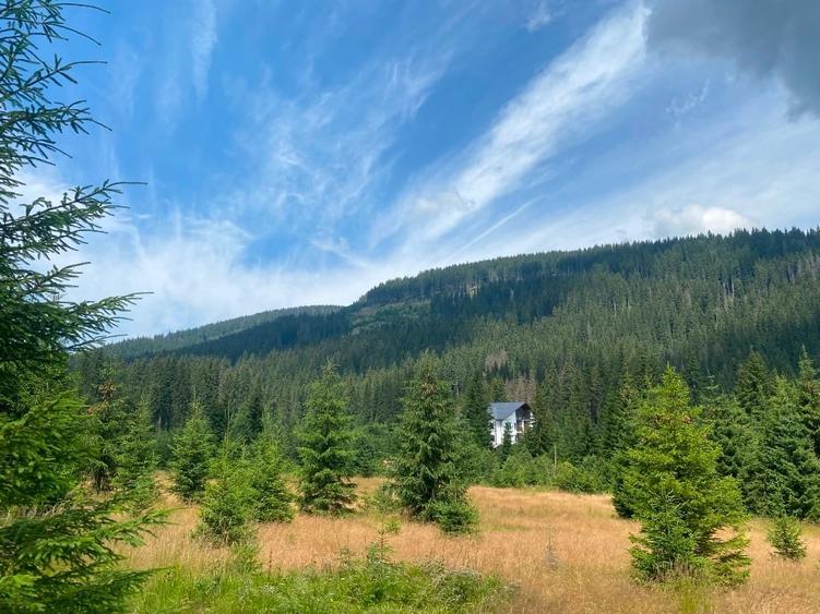 2 terenuri in zona Obarsia Lotrului - 16