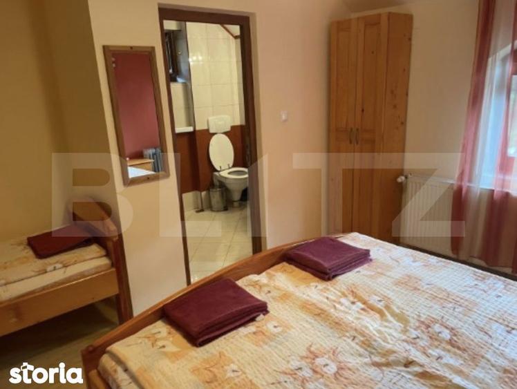 Pensiune deosebita in inima Muntilor Dacici investitie premium in - 6