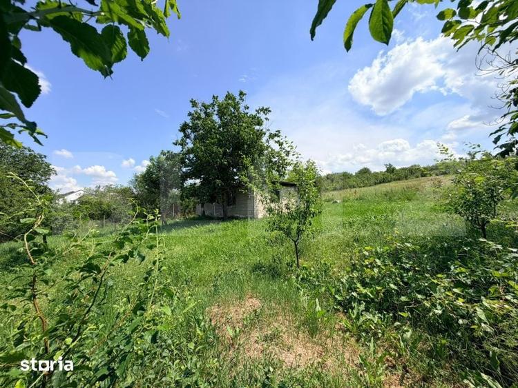 Teren intravilan de vanzare, 2.232 mp, Predesti, jud. Dolj - 3