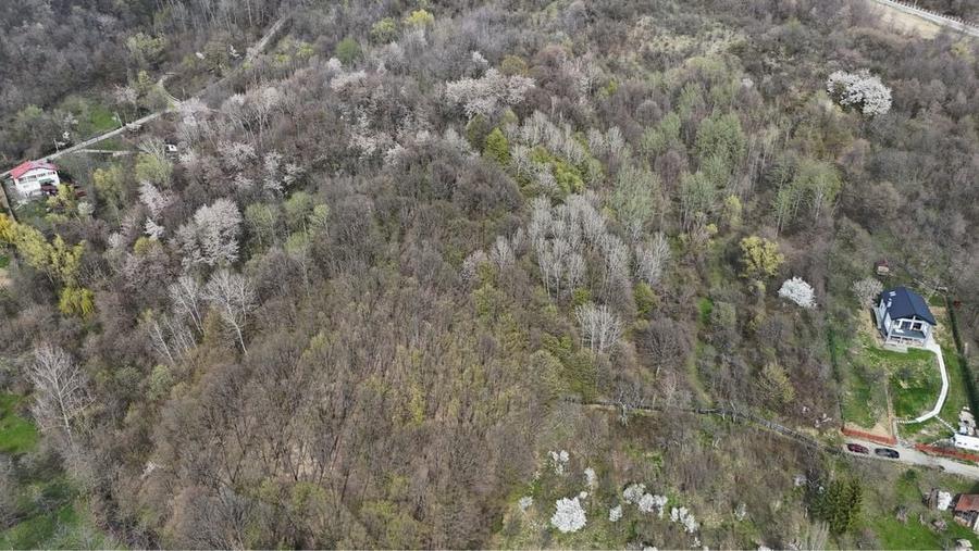 Teren 4700 mp Cornu de Jos(langa Campina)Prahova - 4