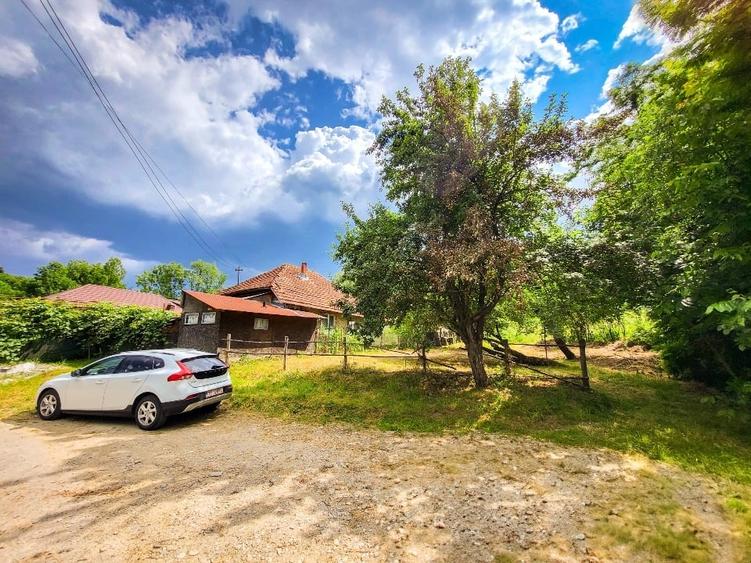 Teren 11700 mp în Valea Lungă, o oază de liniște, aer curat și verdeață - 3