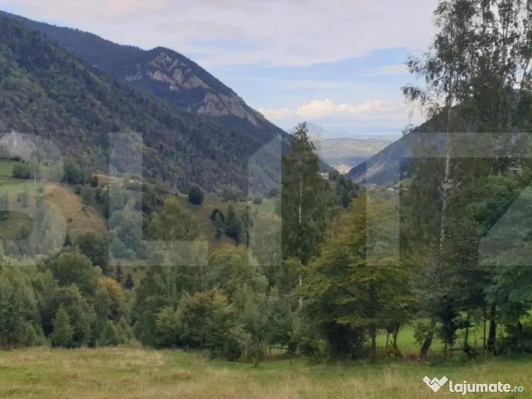 Teren 13.570 mp, Moieciu Pestera - 5