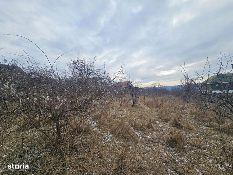 Teren Barnova-Pietrarie - 2