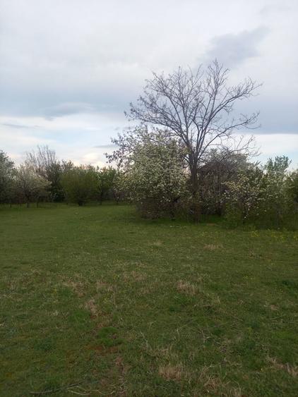 Teren si constructie - 2