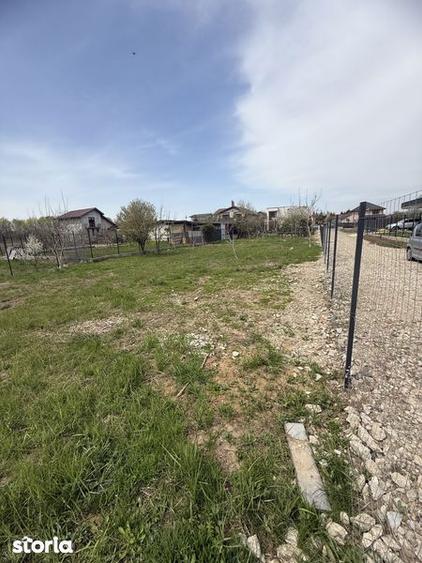 Teren Domnesti 840mp - 5
