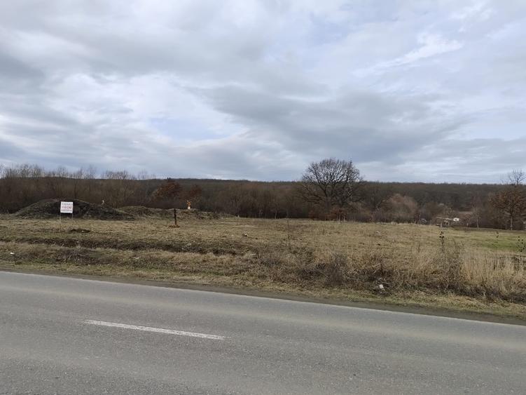 Teren intravilan  - 6