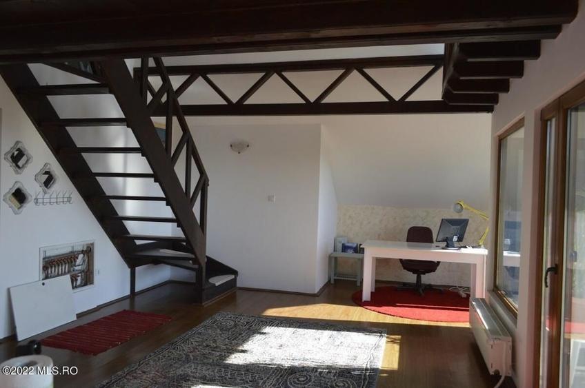 Topoloveni - Conacul Ion Mihalache, Domeniu pe 5 Hectare! - 34