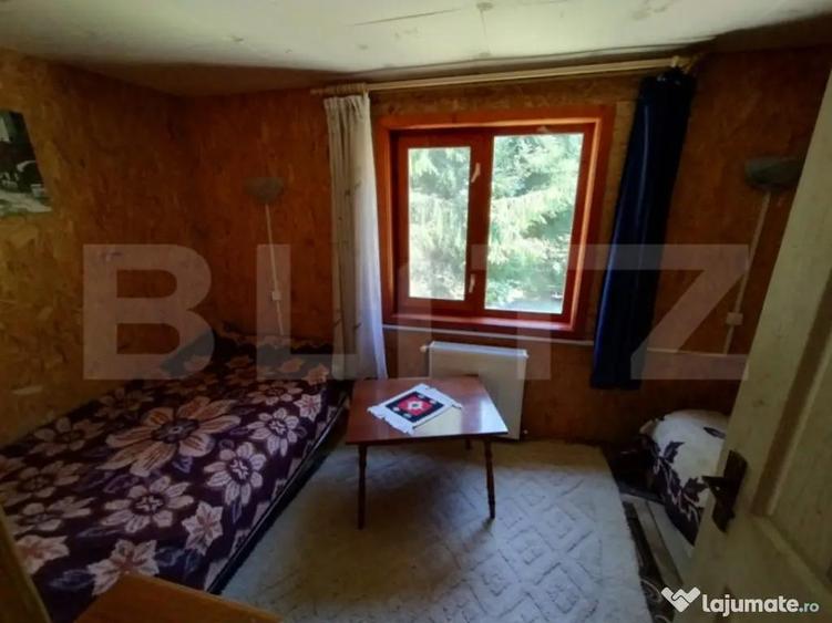 Cabana 4 camere Lunca Bradului - 7