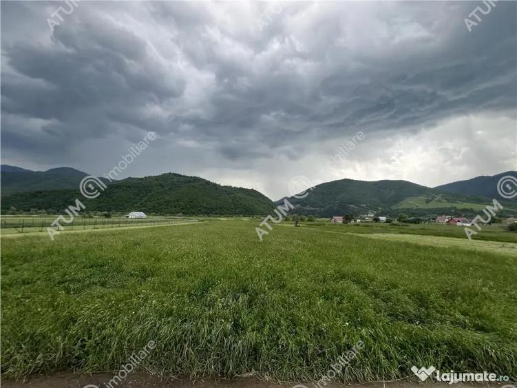 Teren intravilan de 3477 mp cu deschidere de 35 m in Boita - 8