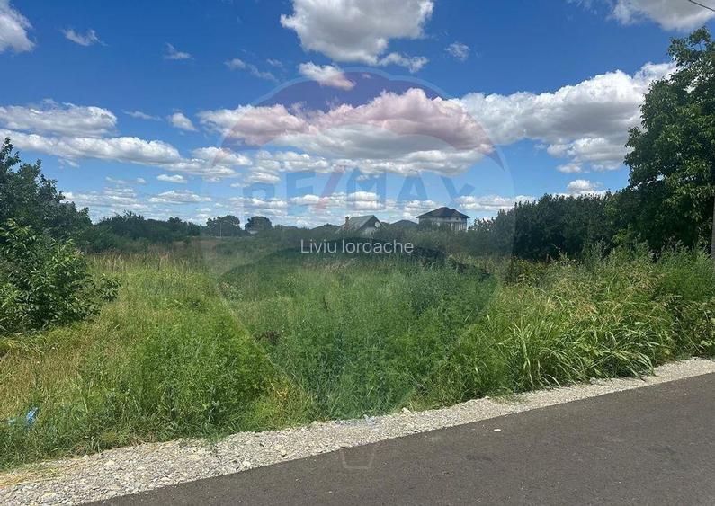 Vanzare Teren 500mp Bolintin-Vale / Strada Bancii Vanzare Teren 500mp Bolintin-Vale / Strada Bancii