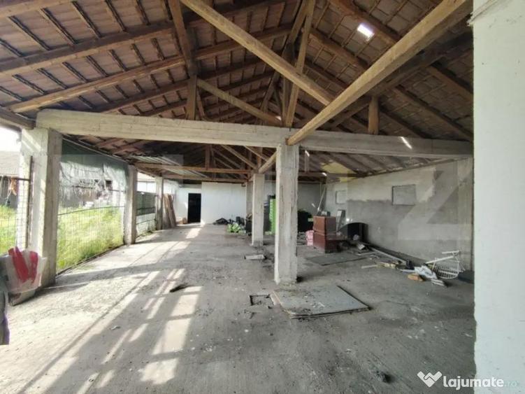 Teren intravilan, arabil, 39 ha, Sanmartinul Sarbesc - 8