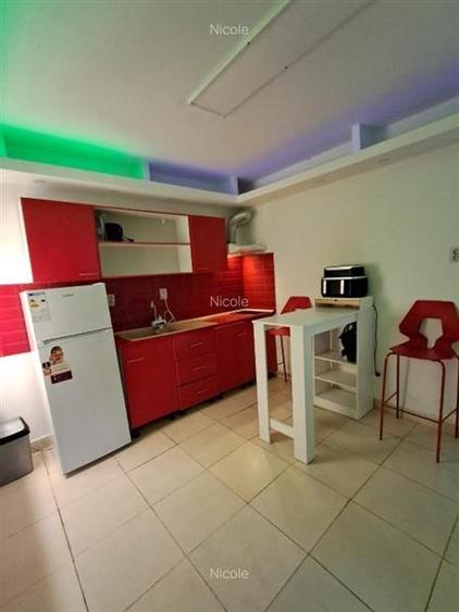 Vanzare garsoniera Mosilor in vila - 2