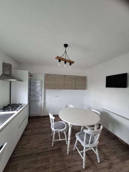 Sanandrei – Duplex  2  Camere – Pod  Mansardabil - 9