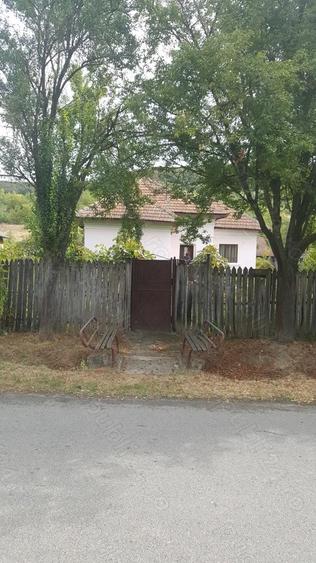 Casa+Teren - 8