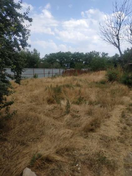 Vând teren intravilan 1800 metri pătrați - 4